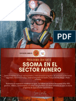 Programa Libre SSOMA Mineria