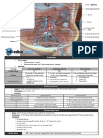 Diaphragm + Abdominal Aorta + IVC + Liver