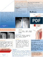 Clasif. Tendon y M. Rotadores 2