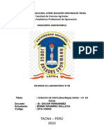 Informe N°08