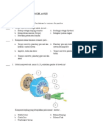 Soal Ujian PSPT Xii