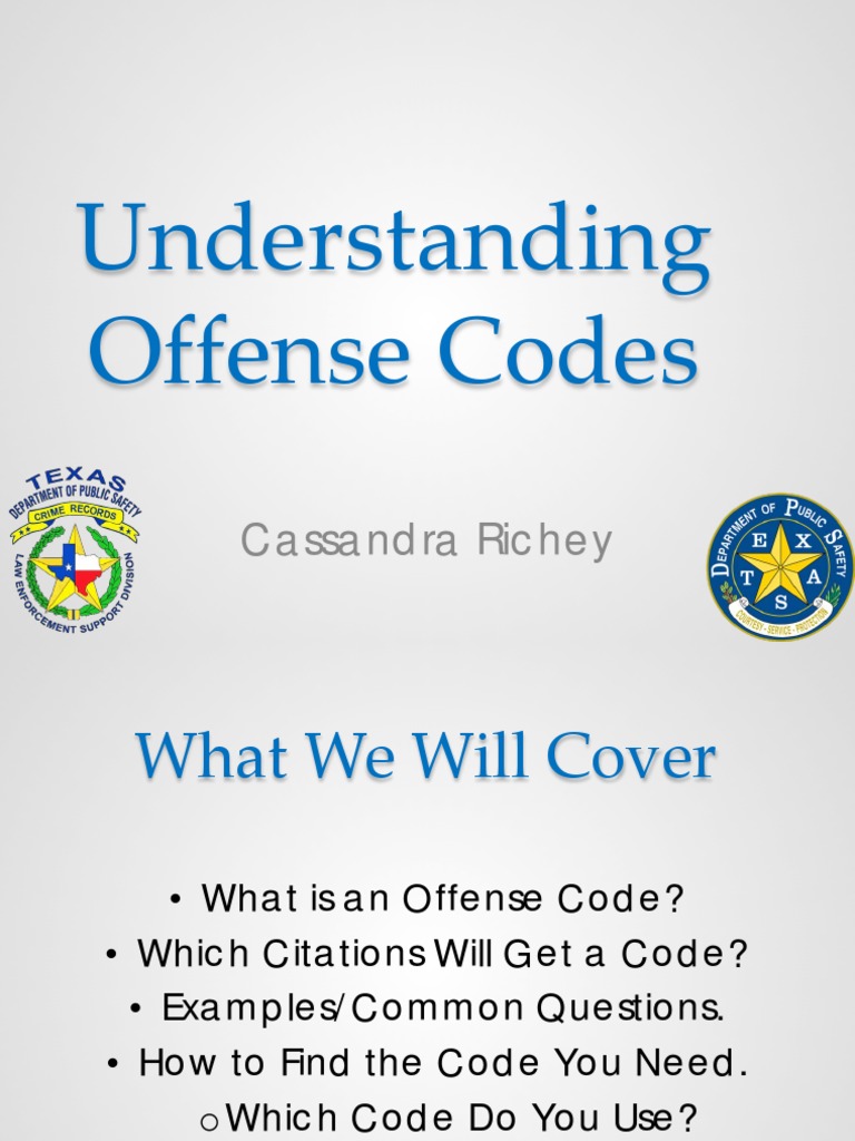 Understanding Offense Codes PDF Theft Crimes
