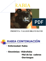 Presentacion Rabia