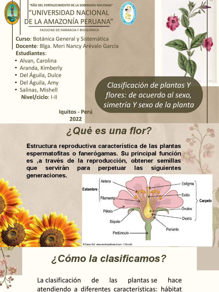 Clasificación de Flores por Sexo y Estructura | PDF | Flores | Sexo