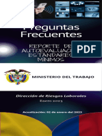 Preguntas Frecuentas Reporte Auoevaluación