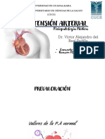 Hipertensión Arterial