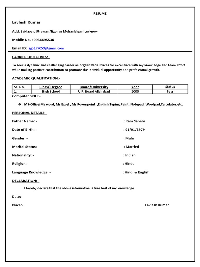 normal-resume-pdf