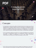 Comportamiento Organizacional