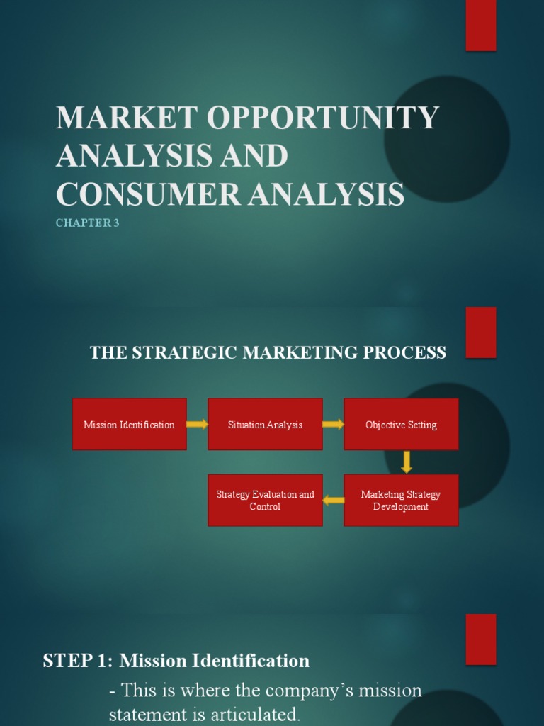 2 Chapter 3 MARKET OPPORTUNITY ANALYSIS AND CONSUMER ANALYSIS PDF