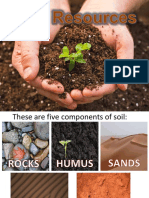 Geoecology Chapter 1: Components and Formation of Soil