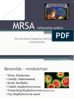 MRSA Mini Gyilkos