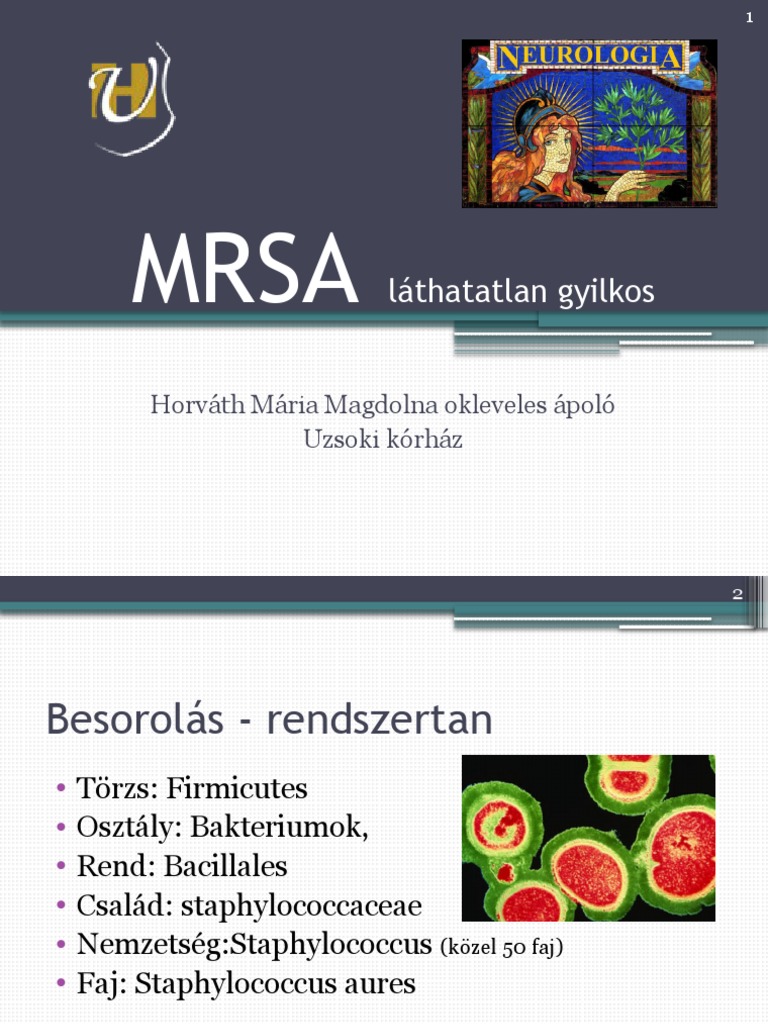 MRSA Mini Gyilkos | PDF