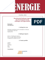 WEC Europe Hydrogen Study