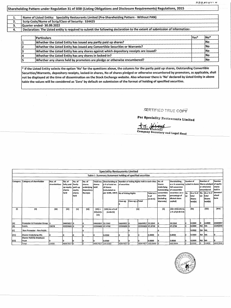 SEBI Shareholding Pattern Q3 2022 | PDF | Securities (Finance) | Stocks