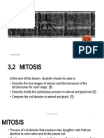 Tutorial Cell Division