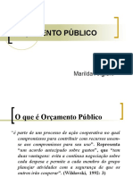 Orcamento Publico