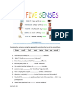The Five Senses - 104461