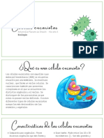 Célulaseucariotas PDF