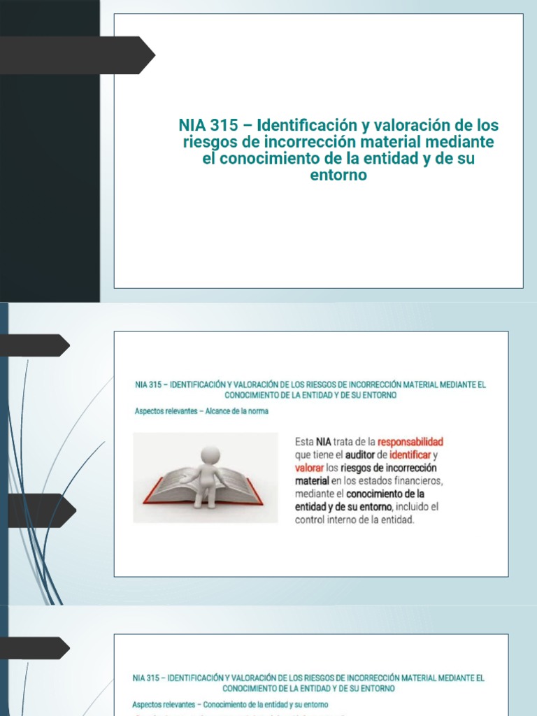 Nia 315 PDF