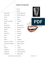 Dental Anatomy: Tooth Classification Guide | PDF | Technology ...