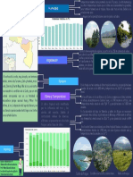 Estado Aragua Mapa Mental