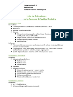 Lista de Estructuras Lab Cavidad Toracica