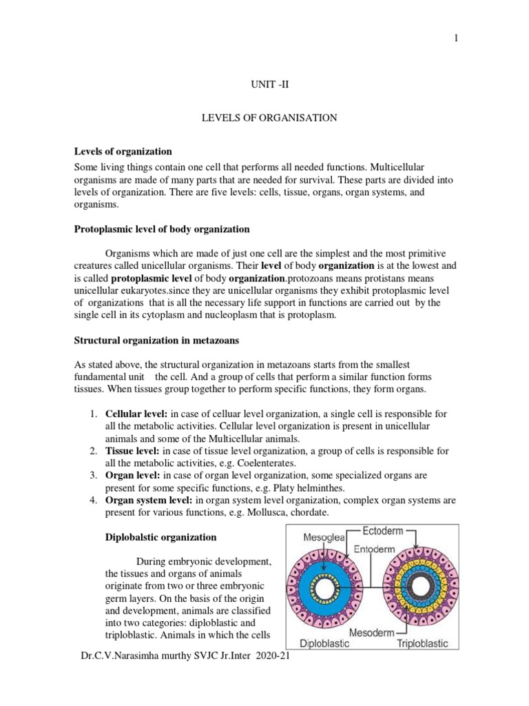 JI UNIT 2 Complete Notes - 1-2 | PDF | Zoology | Anatomy