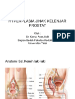 Hyperplasia Jinak Kelenjar Prostat