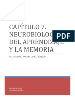 TEMA 7. Neurobiologiìa Del Aprendizaje y La Memoria