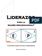 Liderazgo para La Solidez Organizacional