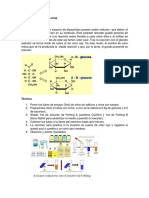 Detección Glucosa en Orina