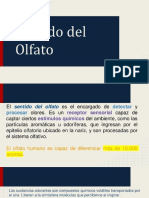 PDF Presentacion Del Olfato