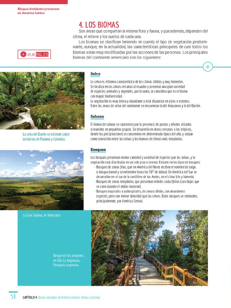 Los Biomas de America | PDF