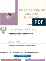 Embriología de Sistema Nervioso