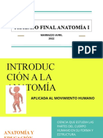 Trabajo Final Anatomía I Marrazzo