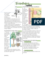 Fisiologia Vegetal