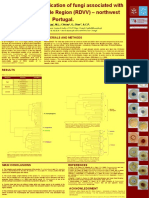 Isolation_and_Identification_of_fungi_as