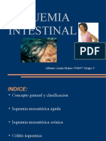 Isquemiaintestinal 120519034826 Phpapp02