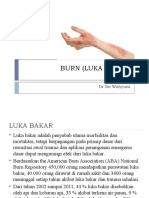 Burn (Luka Bakar)