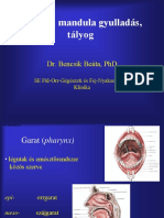 DR Bencsik Beata Garat Es Mandula Gyulladas Talyog