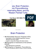 Apoptosis, Brain Protection, Ischemic Preconditioning, Hibernating Bears, and The Western Painted Turtle