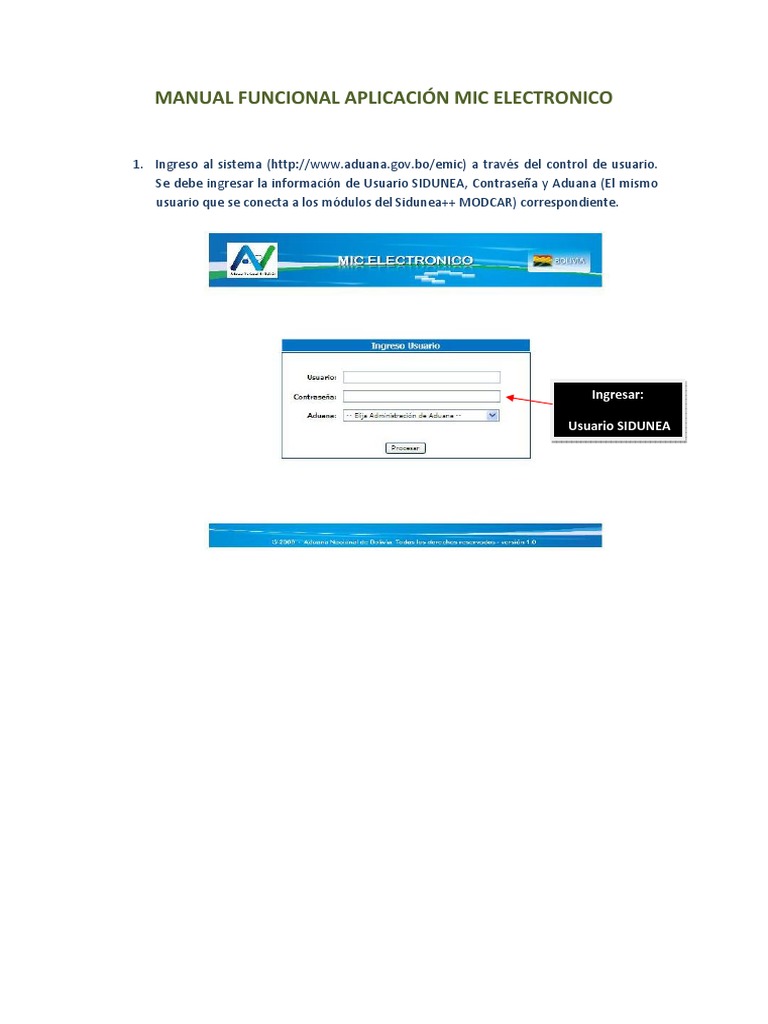 Manual de Aplicación MIC Electrónico | PDF | Informática