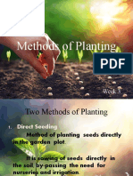 Week 3-4 Methods and WAYS of Planting