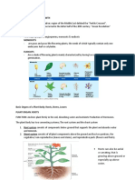 Plant Structure and Growth