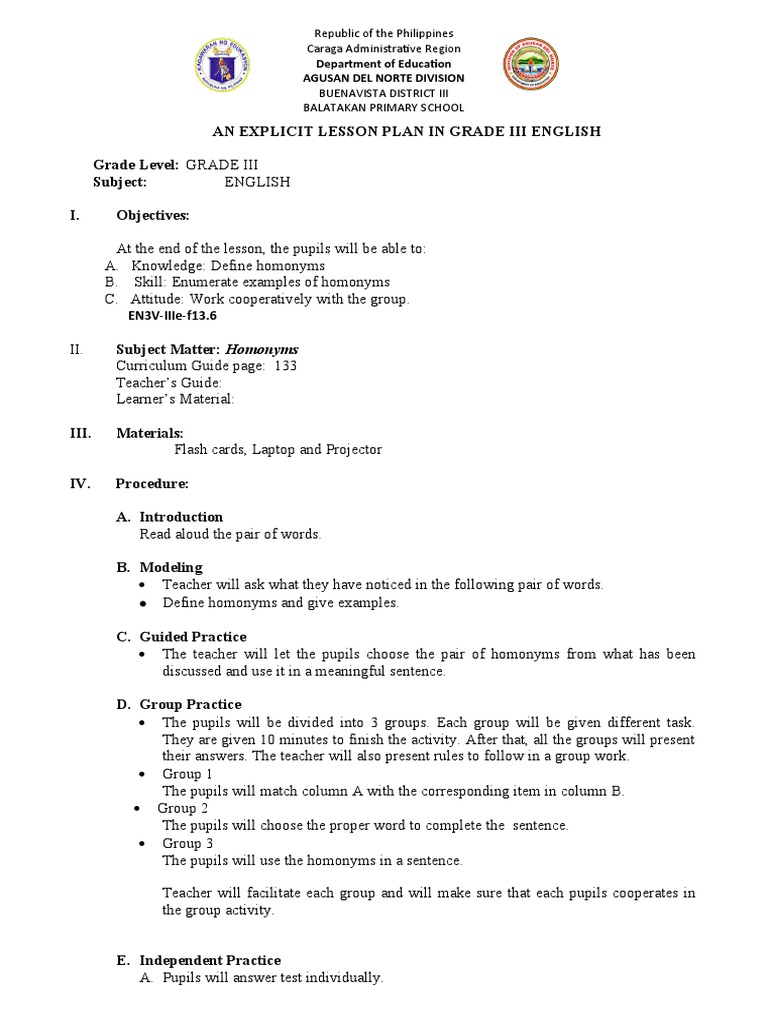 Homonyms Lesson Plan for Grade 3 | PDF | Teachers | Learning