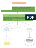 Mapa Conceptual 2