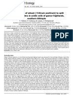 Yield Response of Wheat Triticum Aestivum To Split Application of Lime in Acidic Soils of Gumer Highlands Southern Ethio