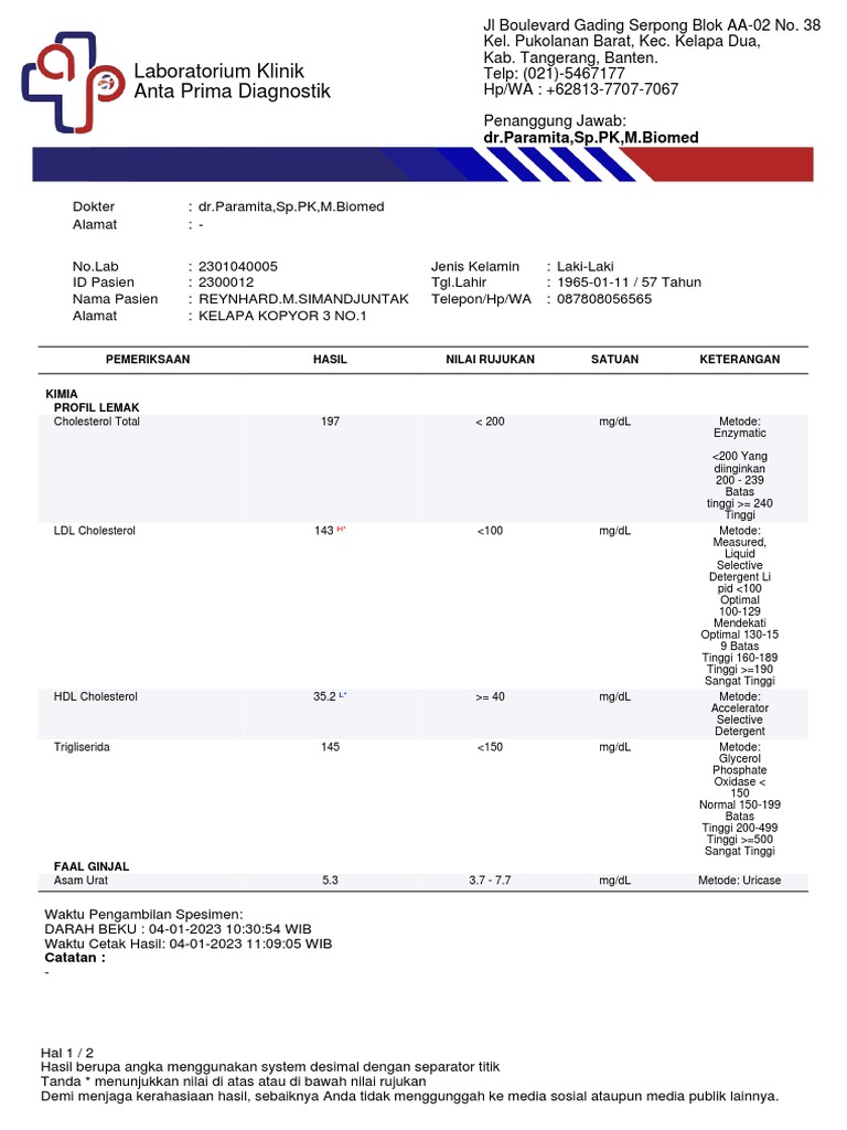 Hasil Lab Profil Lemak Pasien Reynhard | PDF