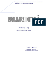 Evaluare Initiala N I