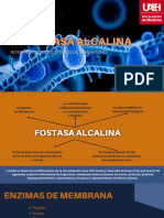 Fosfatasa Alcalina
